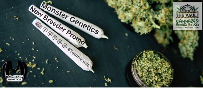 Monster Genetics Cannabis Seeds