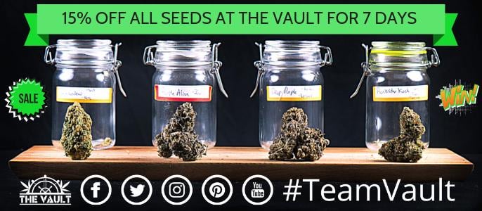 Vault Cannabis Seeds Store Promo