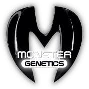 Monster Genetics Cannabis Seeds