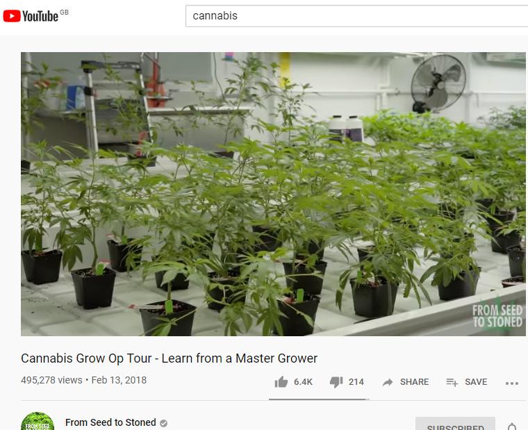 Cannabis grow op tour