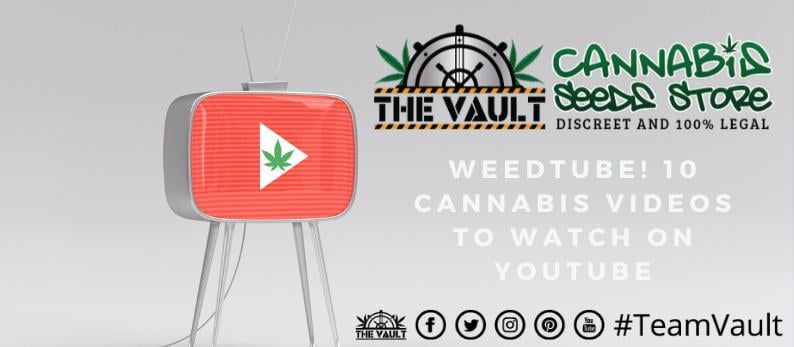 Cannabis on YouTube