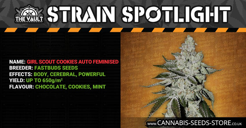 Girl Scout Cookies Fastbuds Strain Spotlight