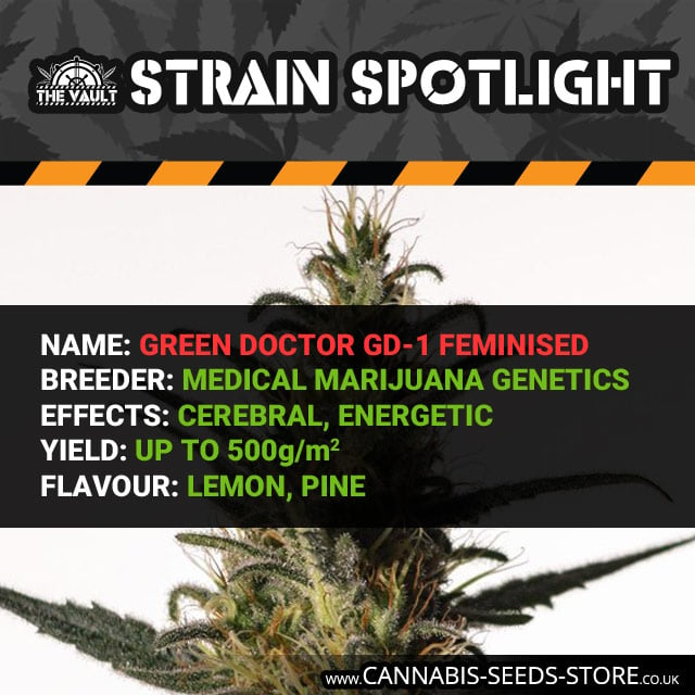 Strain spotlight on Green Doctor GD1