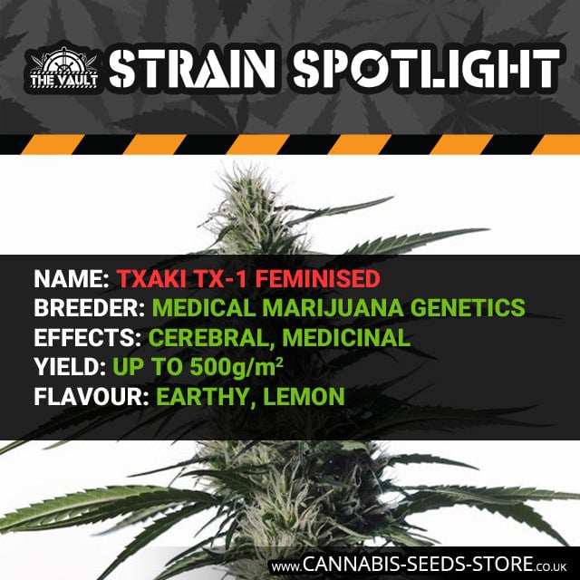 Txaki (TX-1) Feminised Seeds 