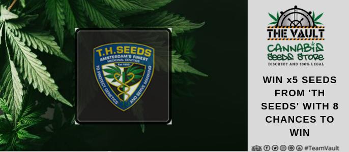 TH Seeds Promo