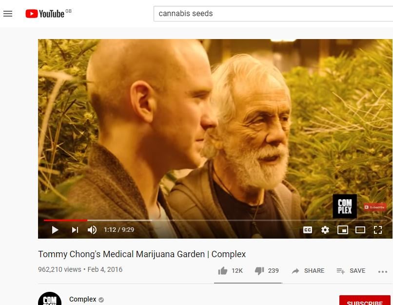 Tommy Chong’s Medical Marijuana Garden