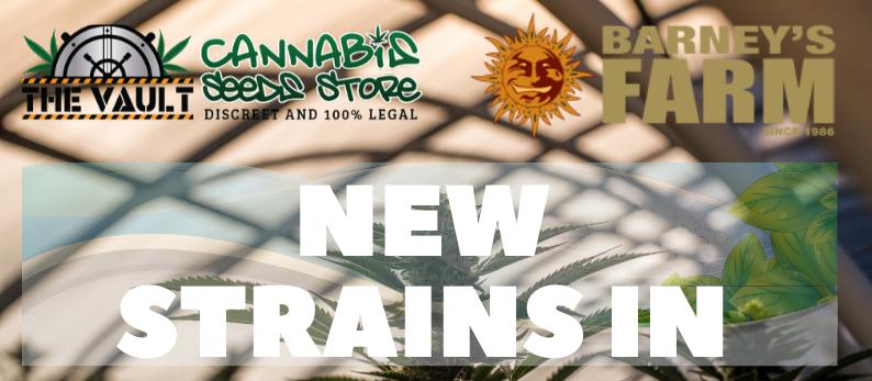 Barneys Farm Cannabis Seed Freebies