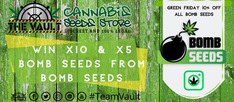 Bomb Cannabis Seeds