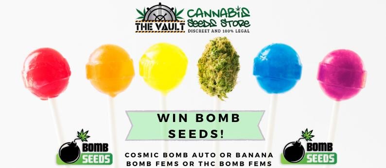 Bomb Seeds Promo