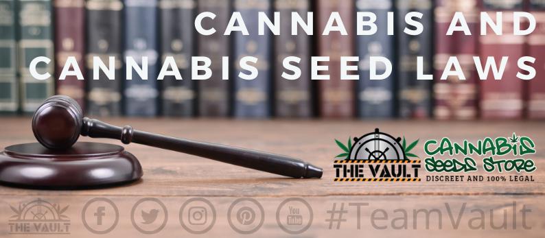 Cannabis and Cannabis Seeds Laws
