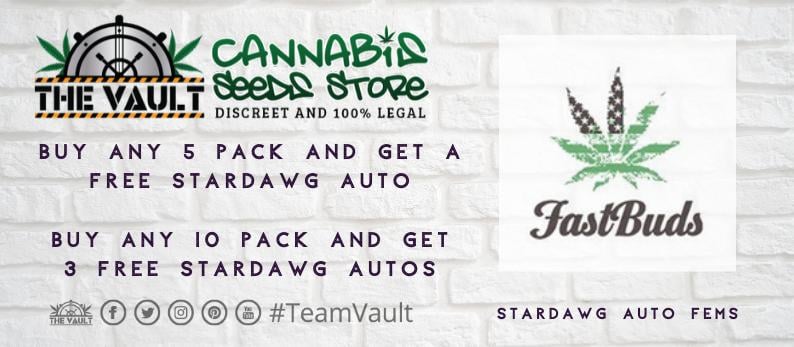 Fastbuds Cannabis Seeds