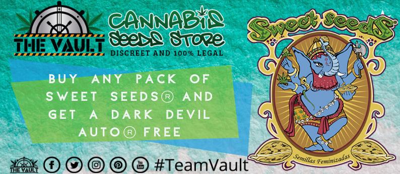 Sweet Cannabis Seeds