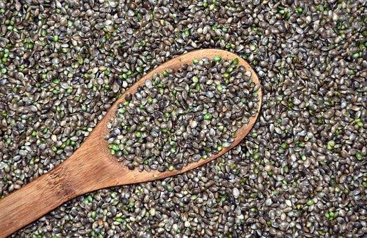  Auto-Flowering Cannabis Seeds