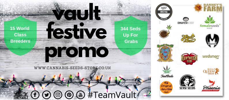 Festive Promo 3