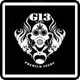 G13 Labs