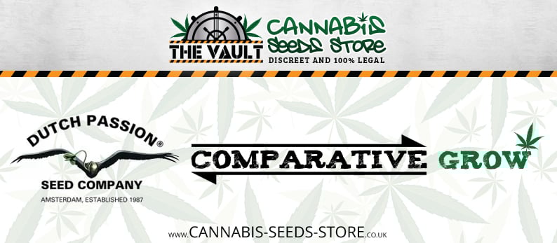 comparative grow dutch passion
