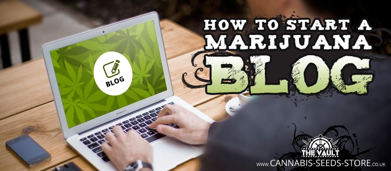 how to start a marijuana blog