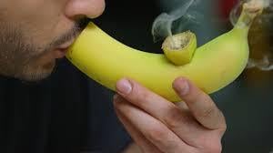 Banana Bong Banana Bong