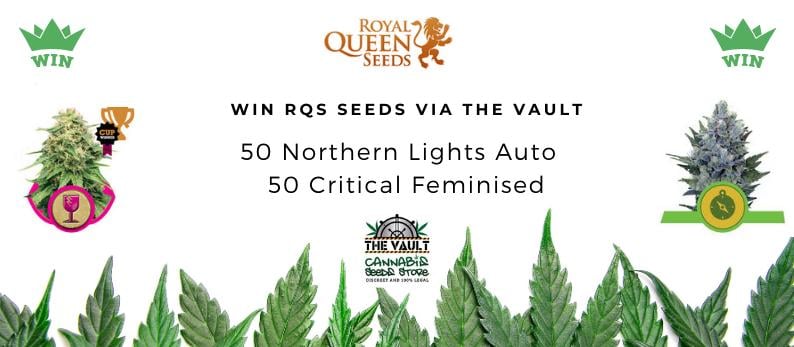 Royal Queen Seeds Promo