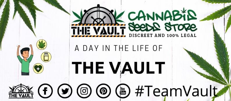 TeamVault