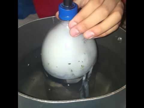 The Bucket The Bucket