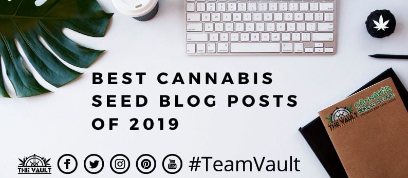 Top Cannabis Seed Blog Posts 2019