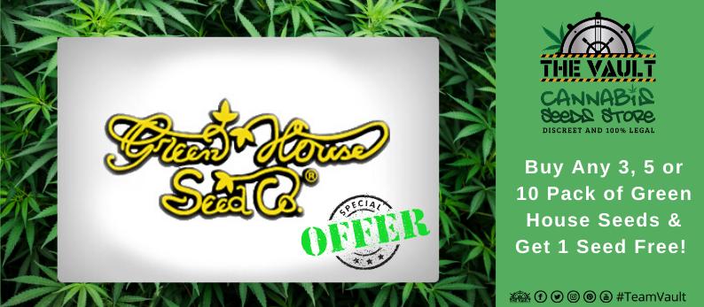 green house cannabis seeds offer