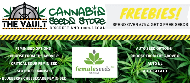 Female-Cannabis-Seeds.jpg