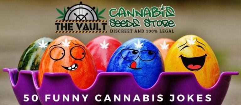 50 Funny Cannabis Jokes