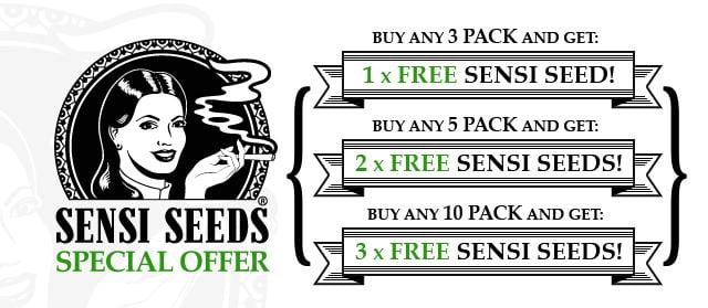 Sensi Seeds Sensi Seeds