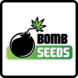 Bomb Cannabis Seeds
