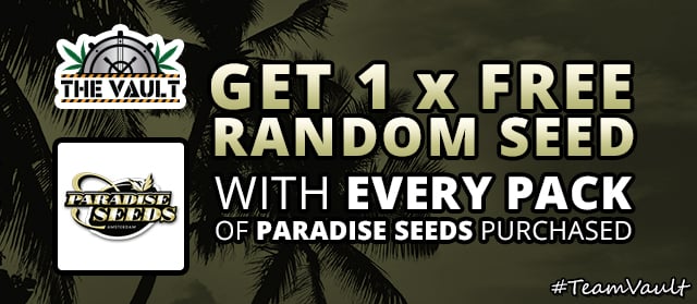 4 paradise seeds