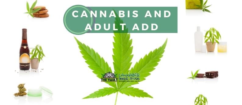 Cannabis and Adult ADD