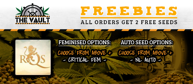 banner template free RQS seeds 2 all orders