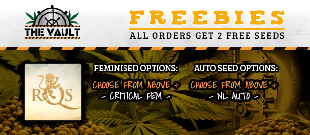 banner_template_free_RQS_seeds_2_all_orders.jpg