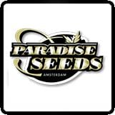 Paradise Cannabis Seeds