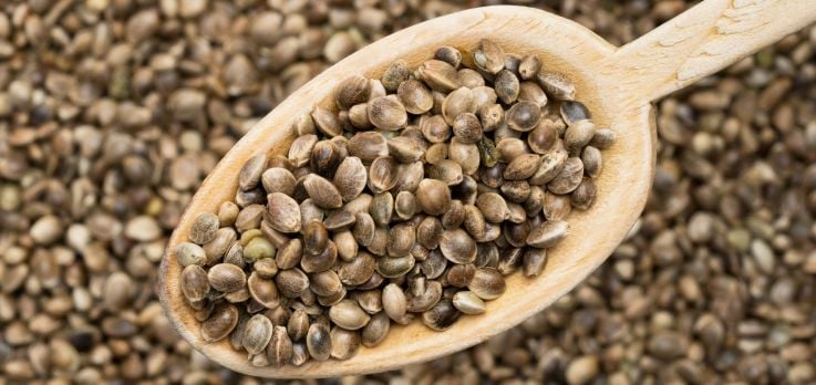 Advantage Of Storing Seeds In Seed Banks - Advantage Of Storing Seeds In Seed Banks : Tiebel K Huth F ... / Source for information on seed bank: