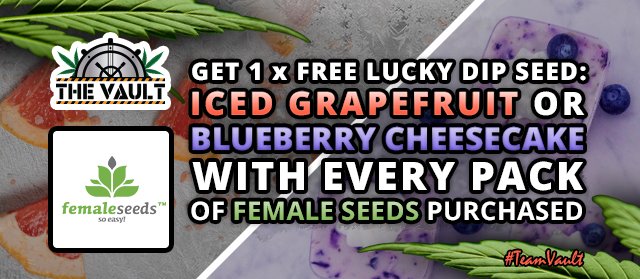 Female Seeds Promo