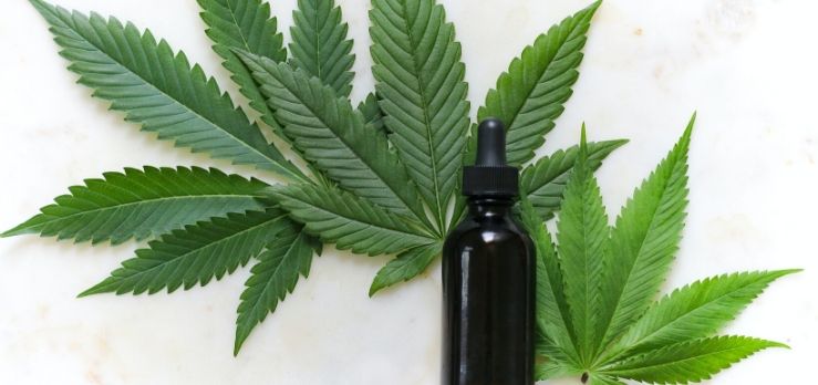 CBD Oil Arthritis