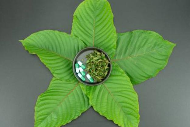 Cannabis and Kratom