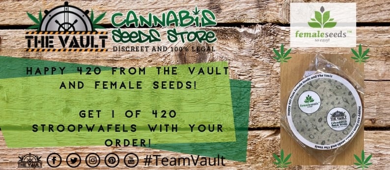 Female Seeds Stroopwafel Promo