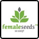 female seeds breeder 1