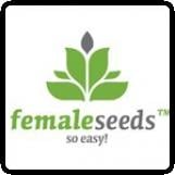 female seeds breeder 1