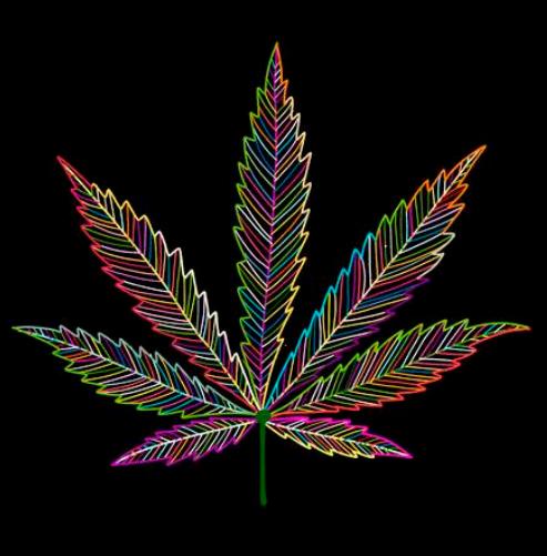 marijuana leaf