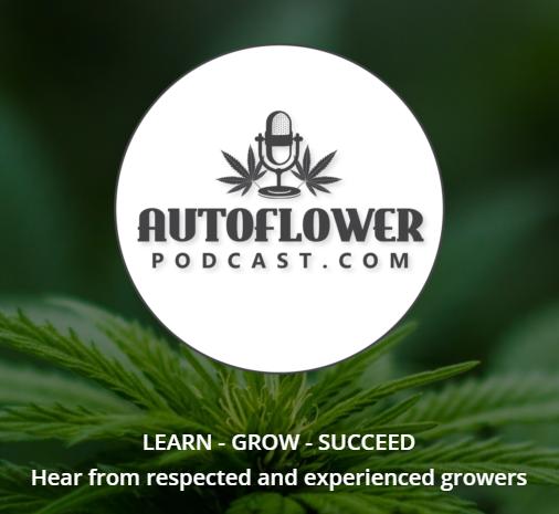 autoflower podcast