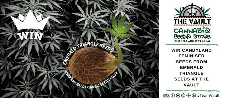 Emerald Triangle Seeds Promo