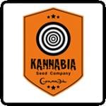 Kannabia Cannabis Seeds