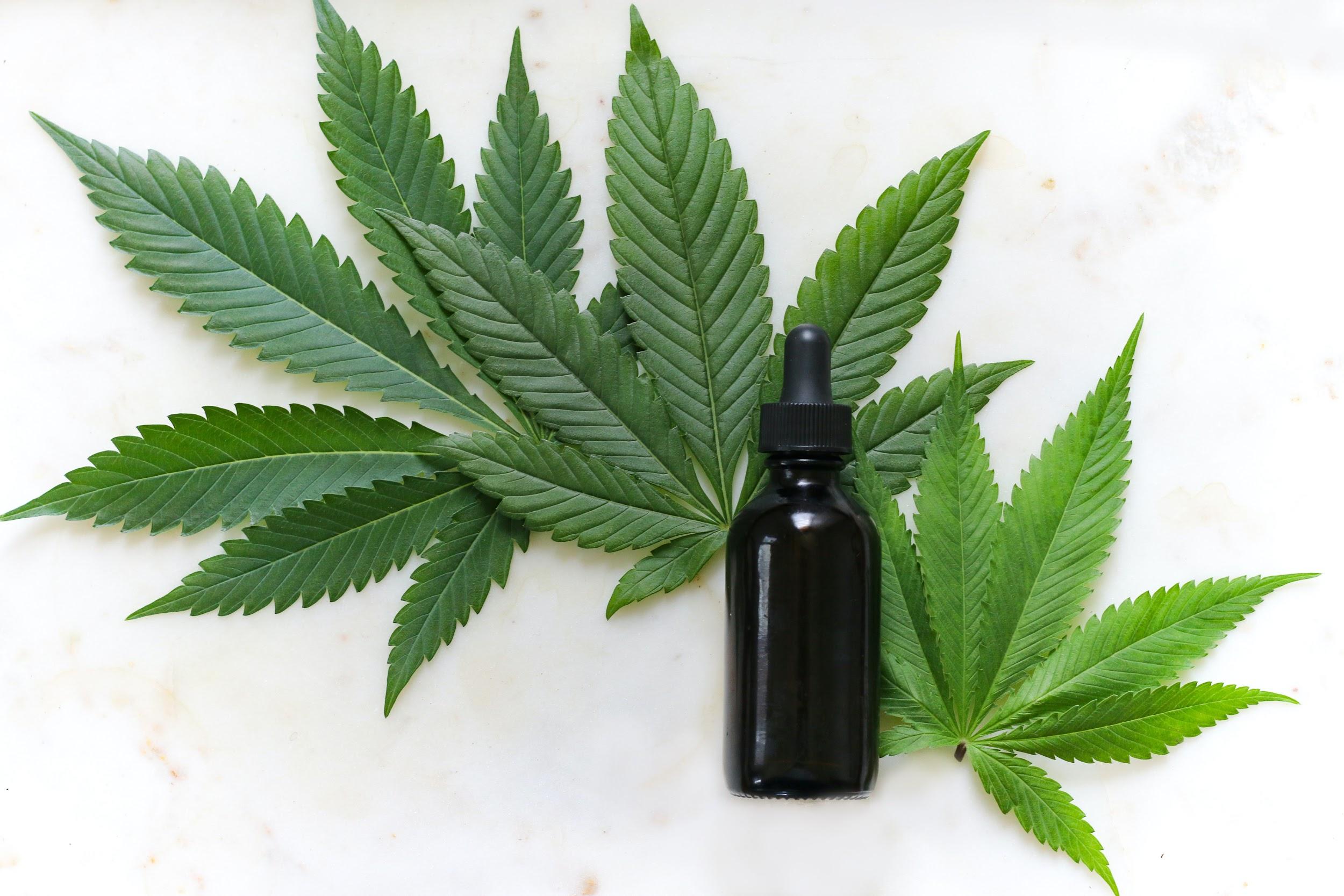 CBD Oil CBD Oil
