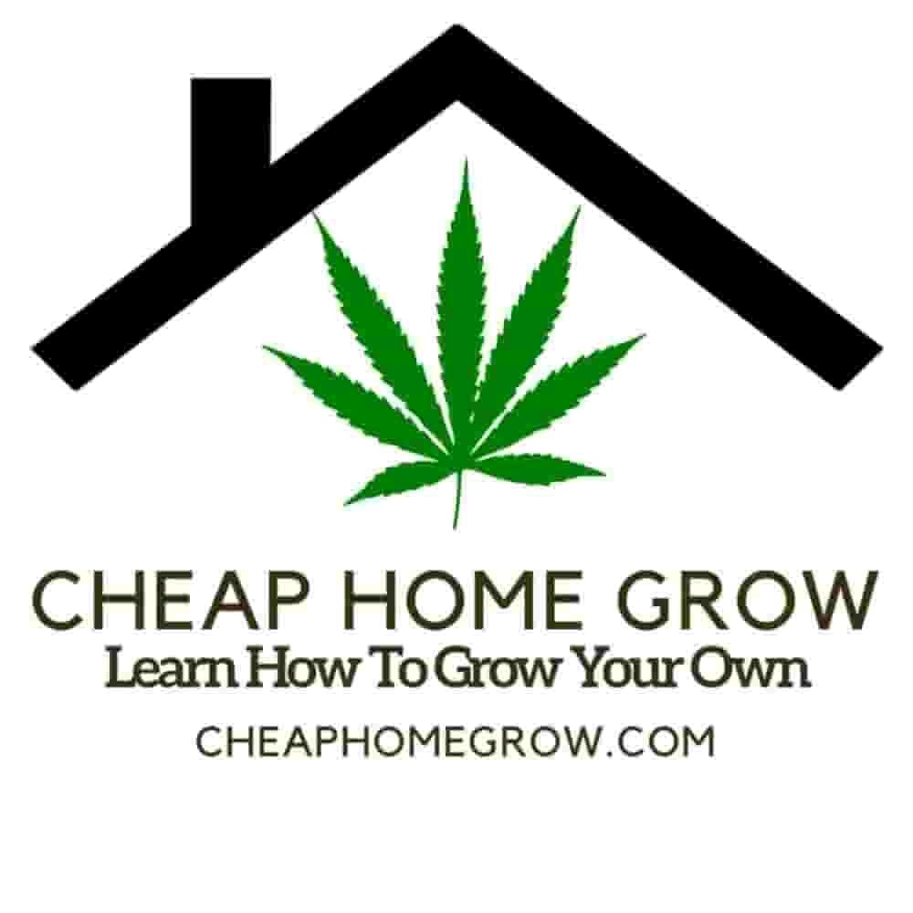 Cheap Home Grow