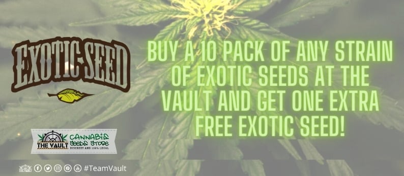 Exotic Seeds Vault Promo